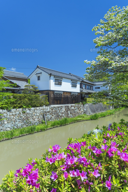 ツツジと八幡掘り
(c)NOBUAKI SUMIDA/SEBUN PHOTO