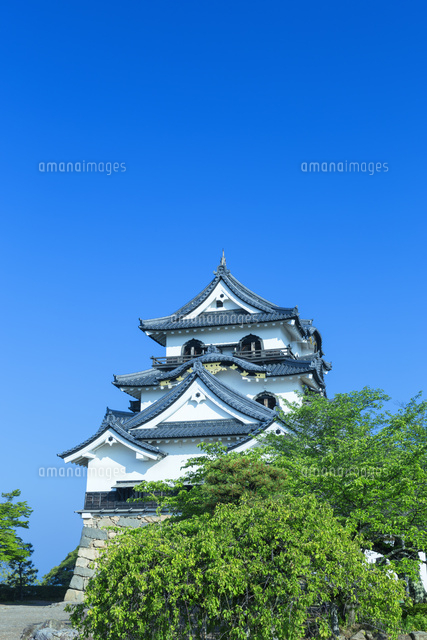 新緑の彦根城の天守閣
(c)NOBUAKI SUMIDA/SEBUN PHOTO