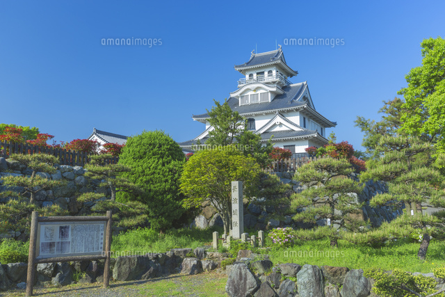 新緑の長浜城
(c)NOBUAKI SUMIDA/SEBUN PHOTO