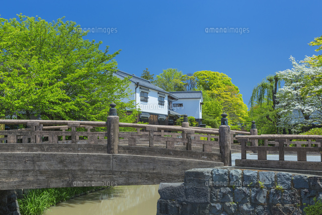 新緑の八幡掘りと明治橋
(c)NOBUAKI SUMIDA/SEBUN PHOTO