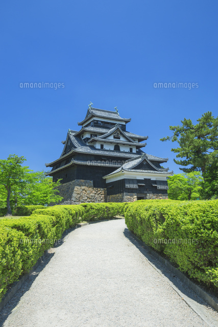 新緑の松江城
(c)NOBUAKI SUMIDA/SEBUN PHOTO