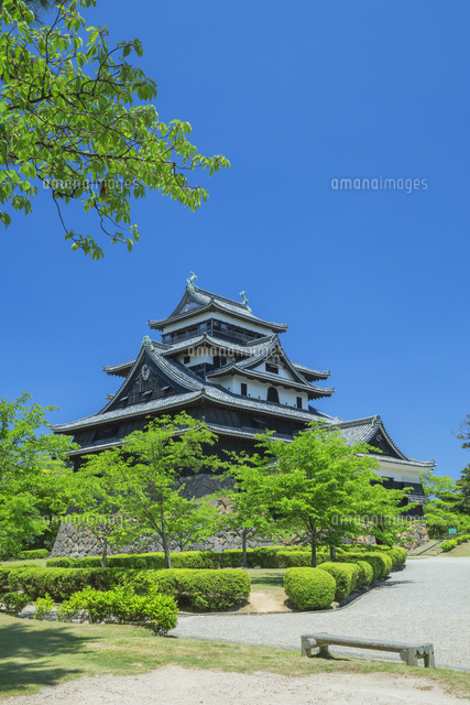 新緑の松江城
(c)NOBUAKI SUMIDA/SEBUN PHOTO