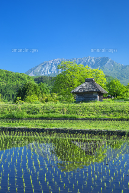 新緑の大山とカヤブキ小屋
(c)NOBUAKI SUMIDA/SEBUN PHOTO