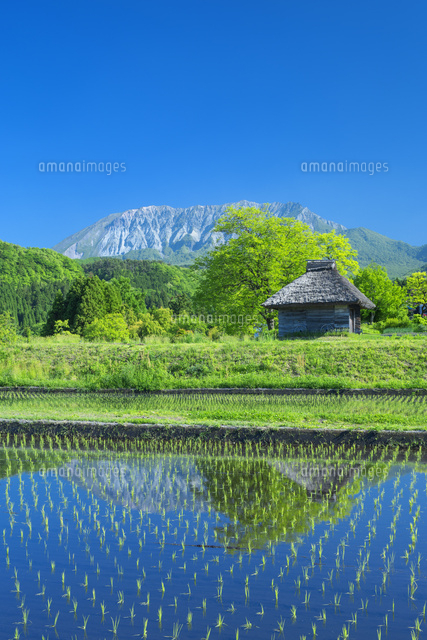 新緑の大山とカヤブキ小屋
(c)NOBUAKI SUMIDA/SEBUN PHOTO