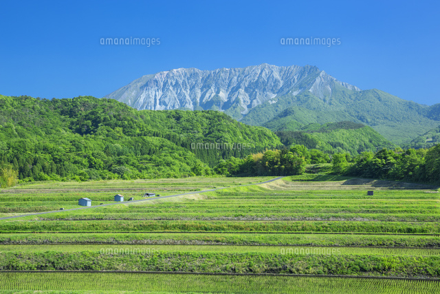 新緑の大山と田園風景
(c)NOBUAKI SUMIDA/SEBUN PHOTO