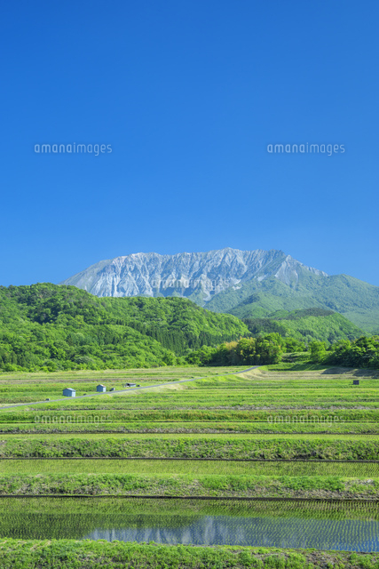 新緑の大山と田園風景
(c)NOBUAKI SUMIDA/SEBUN PHOTO