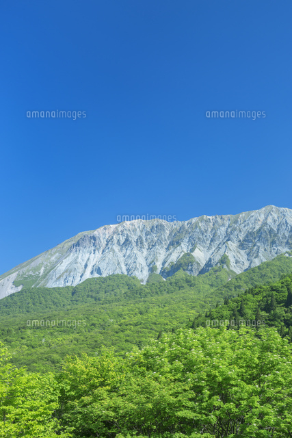 新緑の大山
(c)NOBUAKI SUMIDA/SEBUN PHOTO