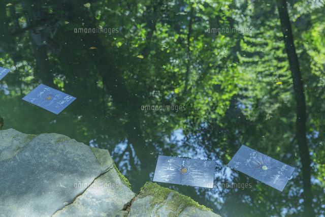 八重垣神社の鏡の池
(c)NOBUAKI SUMIDA/SEBUN PHOTO
