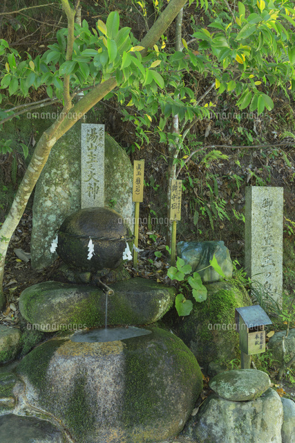 新緑の玉作湯神社の願い石
(c)NOBUAKI SUMIDA/SEBUN PHOTO