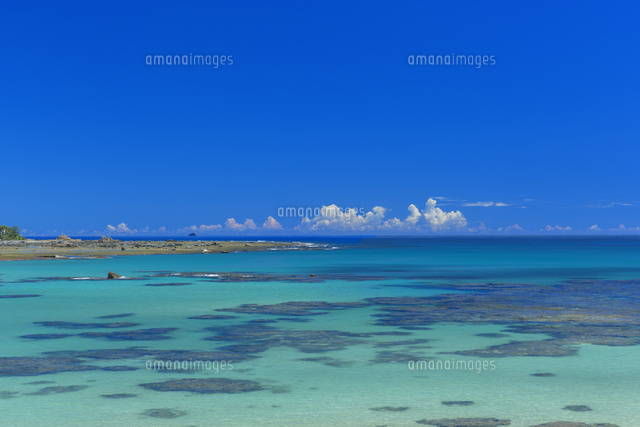 夏の土盛海岸と積乱雲
(c)NOBUAKI SUMIDA/SEBUN PHOTO