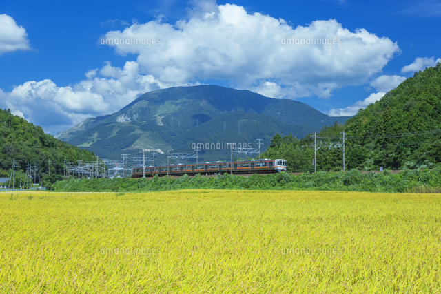 伊吹山とJR東海道本線
(c)NOBUAKI SUMIDA/SEBUN PHOTO