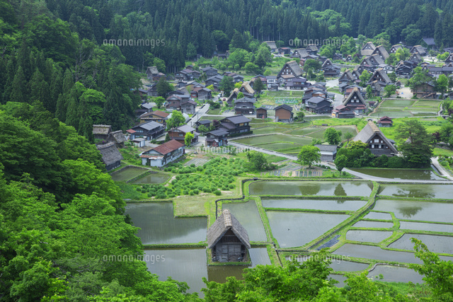 新緑の白川郷と田園
(c)NOBUAKI SUMIDA/SEBUN PHOTO