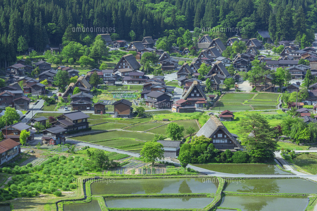 新緑の白川郷と田園
(c)NOBUAKI SUMIDA/SEBUN PHOTO