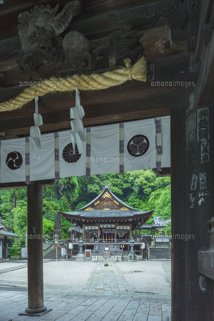 春の日牟禮八幡宮
(c)NOBUAKI SUMIDA/SEBUN PHOTO