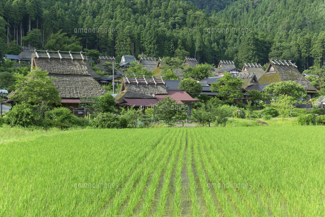 カヤブキの里と田園風景
(c)NOBUAKI SUMIDA/SEBUN PHOTO