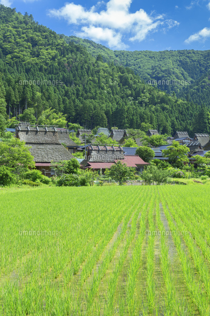 カヤブキの里と田園風景
(c)NOBUAKI SUMIDA/SEBUN PHOTO