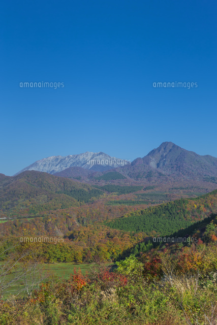 大山と烏ヶ山の紅葉と青空
(c)NOBUAKI SUMIDA/SEBUN PHOTO