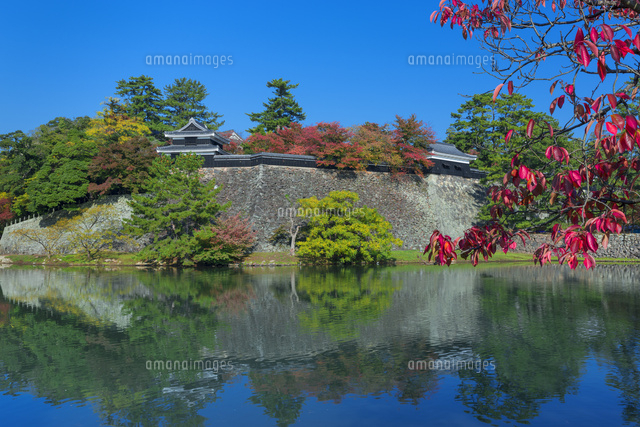 紅葉と松江城と堀
(c)NOBUAKI SUMIDA/SEBUN PHOTO