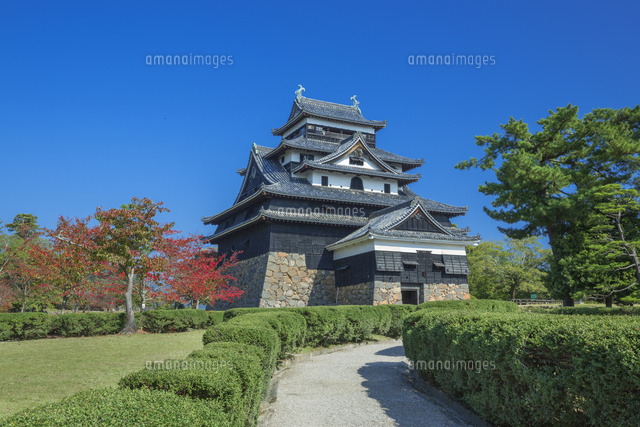 紅葉と松江城
(c)NOBUAKI SUMIDA/SEBUN PHOTO