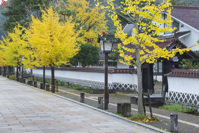 秋の津和野殿町
(c)NOBUAKI SUMIDA/SEBUN PHOTO