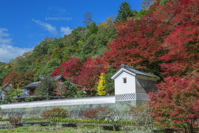 紅葉の堀庭園
(c)NOBUAKI SUMIDA/SEBUN PHOTO
