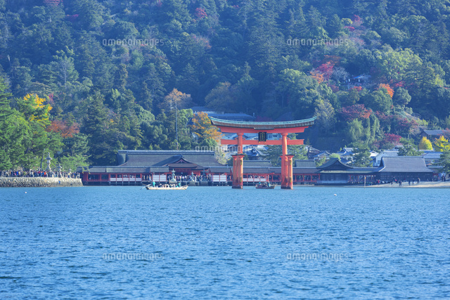 秋の宮島の大鳥居と遊覧船
(c)NOBUAKI SUMIDA/SEBUN PHOTO