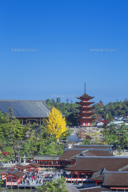 秋の厳島神社
(c)NOBUAKI SUMIDA/SEBUN PHOTO