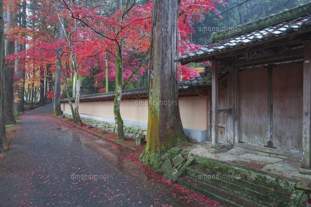 紅葉の佛通寺参道
(c)NOBUAKI SUMIDA/SEBUN PHOTO