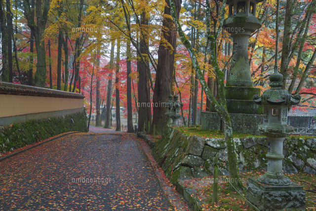 紅葉の佛通寺参道
(c)NOBUAKI SUMIDA/SEBUN PHOTO