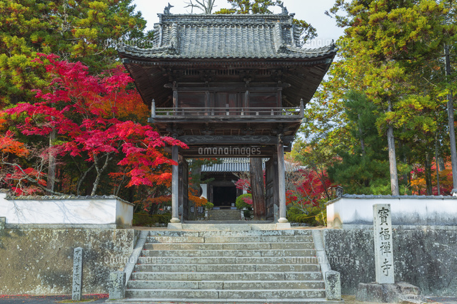 紅葉の宝福寺総門
(c)NOBUAKI SUMIDA/SEBUN PHOTO