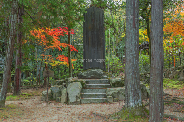 紅葉の宝福寺の雪舟碑
(c)NOBUAKI SUMIDA/SEBUN PHOTO