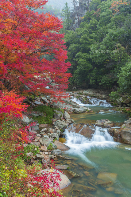 紅葉の豪渓と槙谷川
(c)NOBUAKI SUMIDA/SEBUN PHOTO
