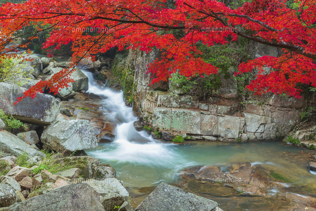 紅葉の豪渓と槙谷川
(c)NOBUAKI SUMIDA/SEBUN PHOTO