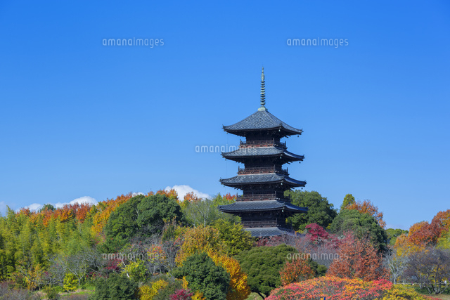 秋の備中国分寺の五重塔
(c)NOBUAKI SUMIDA/SEBUN PHOTO