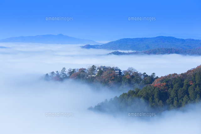 秋の備中松山城の雲海
(c)NOBUAKI SUMIDA/SEBUN PHOTO