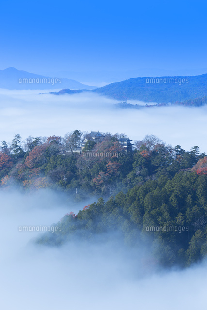秋の備中松山城の雲海
(c)NOBUAKI SUMIDA/SEBUN PHOTO