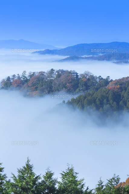 秋の備中松山城の雲海
(c)NOBUAKI SUMIDA/SEBUN PHOTO
