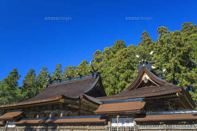秋の熊野本宮大社
(c)NOBUAKI SUMIDA/SEBUN PHOTO