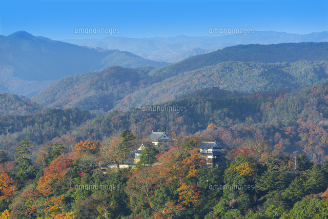 秋の備中松山城
(c)NOBUAKI SUMIDA/SEBUN PHOTO
