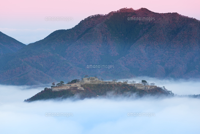 竹田城跡の雲海
(c)NOBUAKI SUMIDA/SEBUN PHOTO