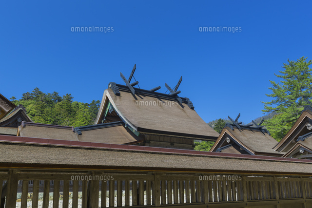 出雲大社の本殿
(c)NOBUAKI SUMIDA/SEBUN PHOTO
