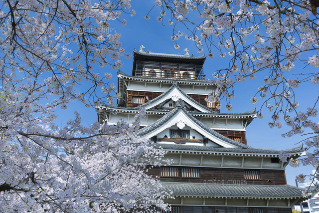 桜の広島城
(c)NOBUAKI SUMIDA/SEBUN PHOTO