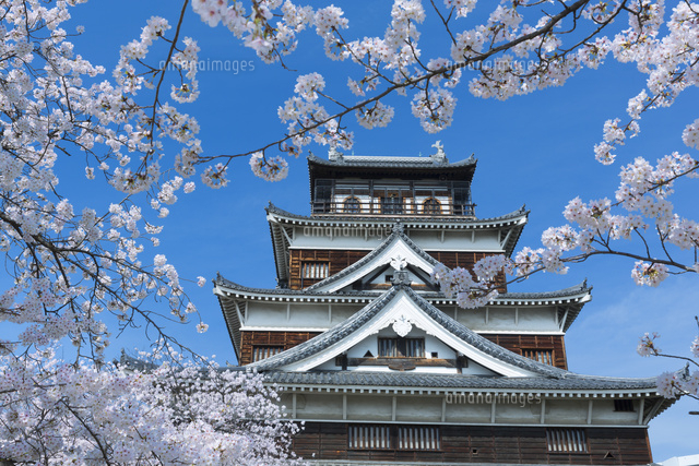 桜の広島城
(c)NOBUAKI SUMIDA/SEBUN PHOTO