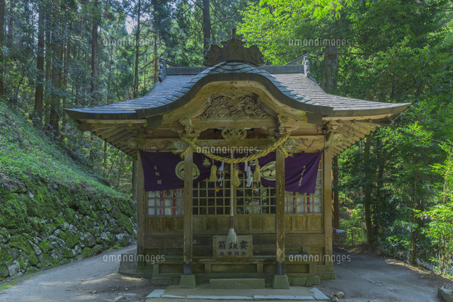 新緑の金持神社
(c)NOBUAKI SUMIDA/SEBUN PHOTO