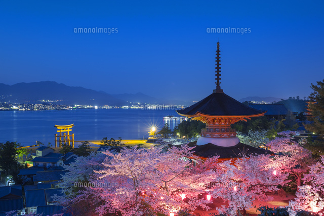 桜の厳島神社の夕景
(c)NOBUAKI SUMIDA/SEBUN PHOTO