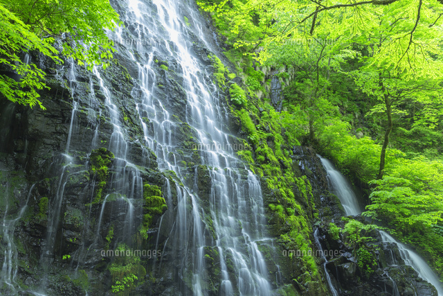 新緑の龍双ケ滝
(c)NOBUAKI SUMIDA/SEBUN PHOTO