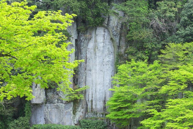 新緑の弥勒大石佛
(c)NOBUAKI SUMIDA/SEBUN PHOTO