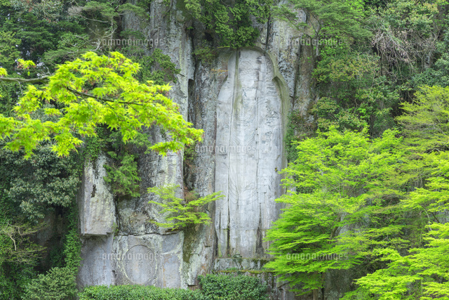 新緑の弥勒大石佛
(c)NOBUAKI SUMIDA/SEBUN PHOTO