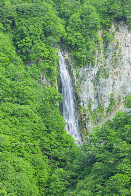 新緑の澗滿滝
(c)NOBUAKI SUMIDA/SEBUN PHOTO