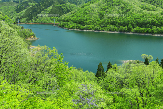 新緑の九頭竜湖
(c)NOBUAKI SUMIDA/SEBUN PHOTO